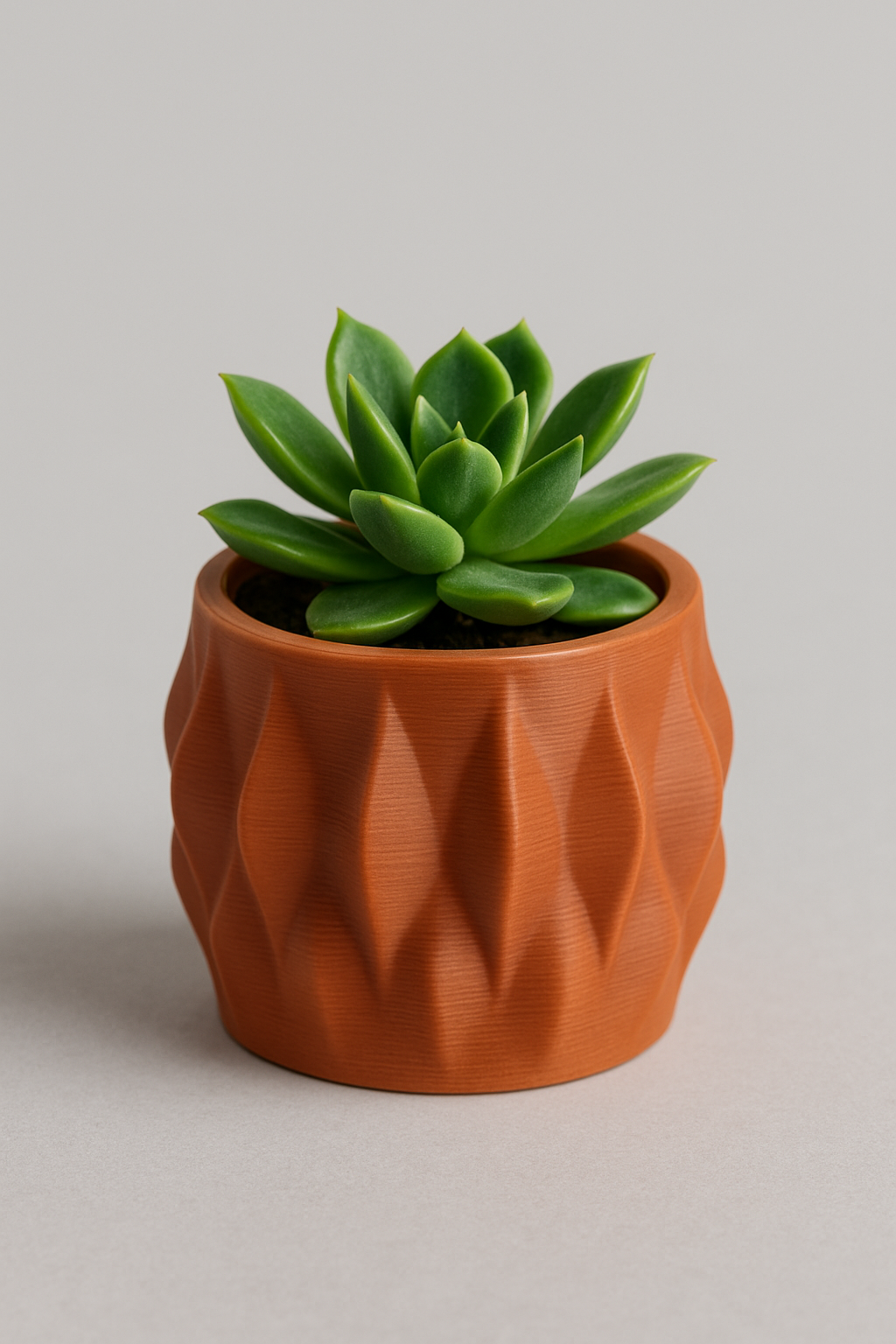 Cache-pot imprimé en 3D